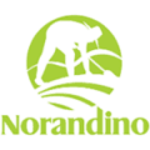 cropped-Logo-Norandino-1.png